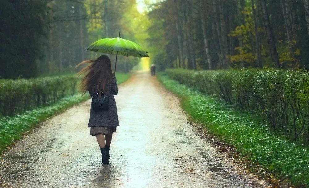 Petrichor: Why Does First Rain Smell Sweet?