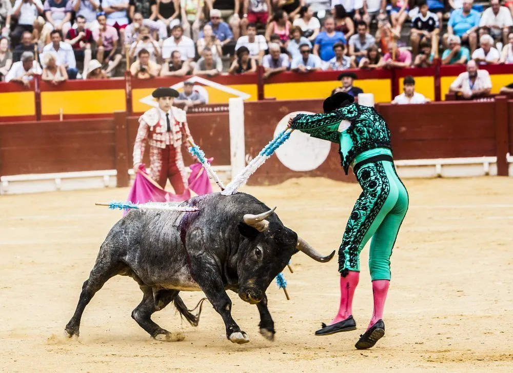 Bullfight