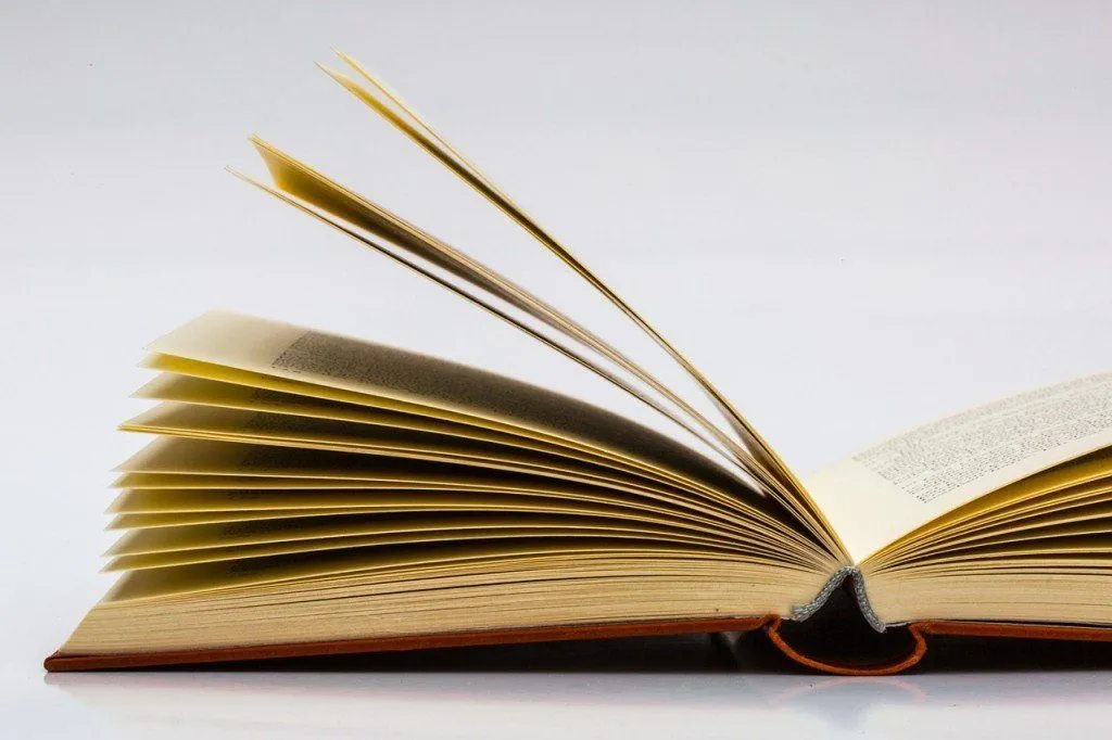 Old Yellowd book