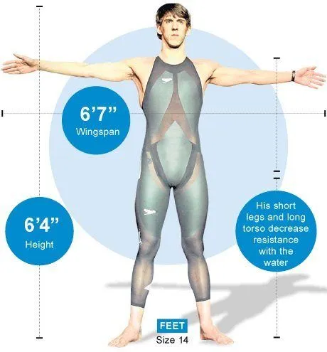 Scientific Analysis Of Michael Phelps’s Body Structure
