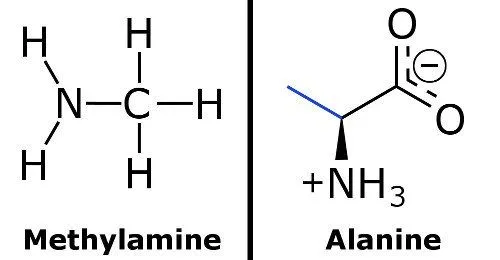 Methylamine & pyridine