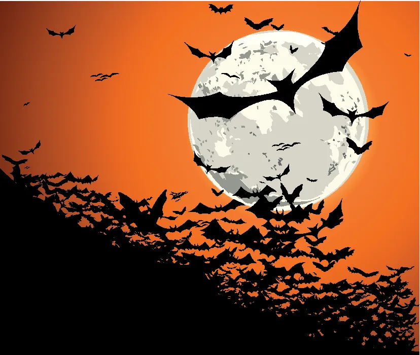 bats