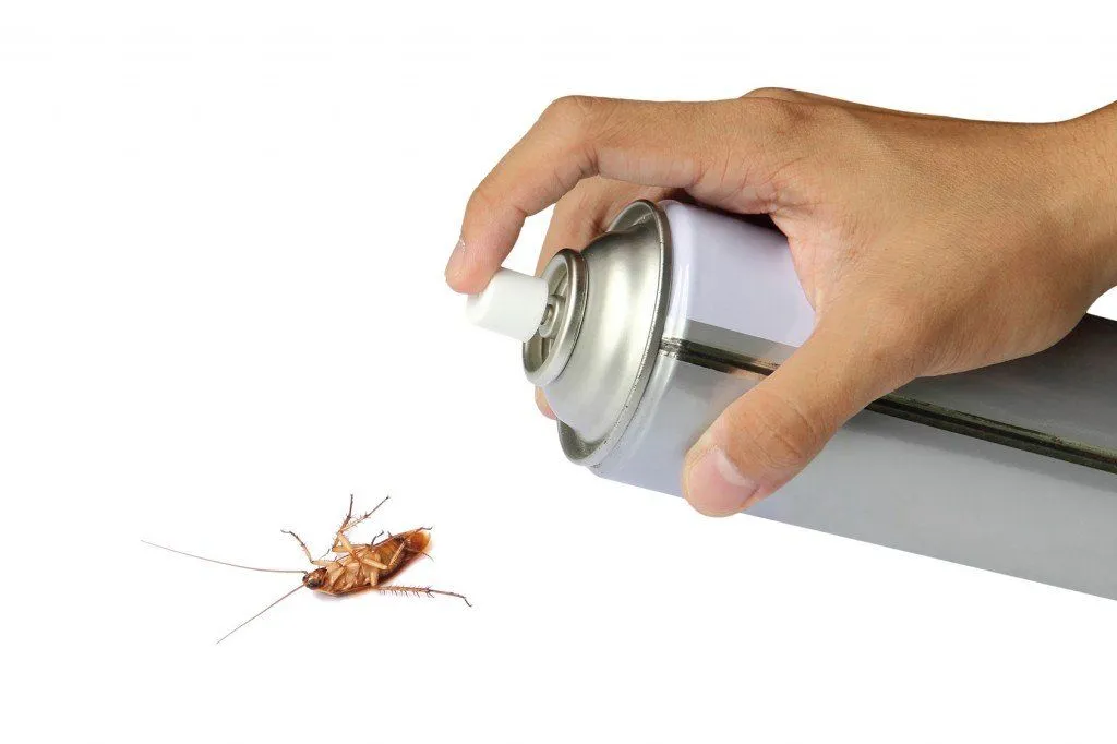 What If There Were No Cockroaches?