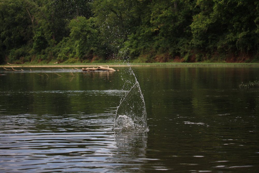 Credit: Ria h/Shutterstock