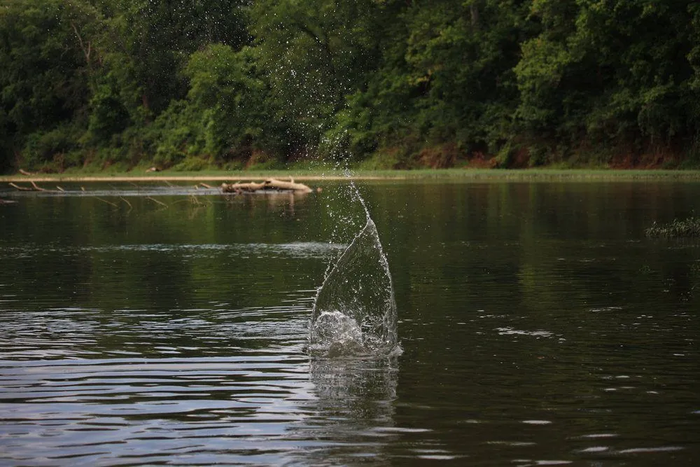 Credit: Ria h/Shutterstock