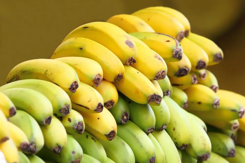 Why Do Bananas Change To Yellow When Ripening?