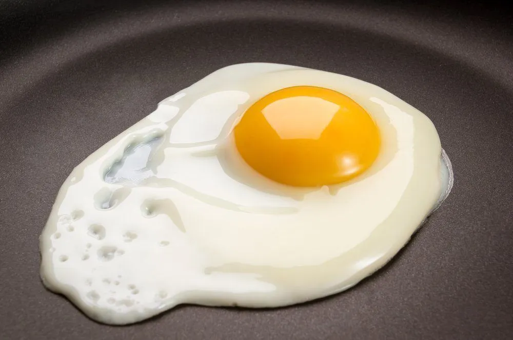 Egg Heating