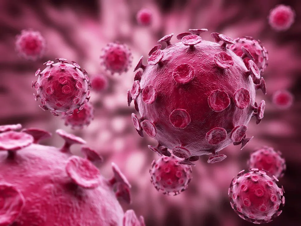 Viroid Vs Virus: How Are Viroids Different From Viruses?
