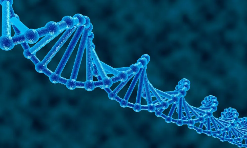 DNA Timeline: Who Discovered DNA?