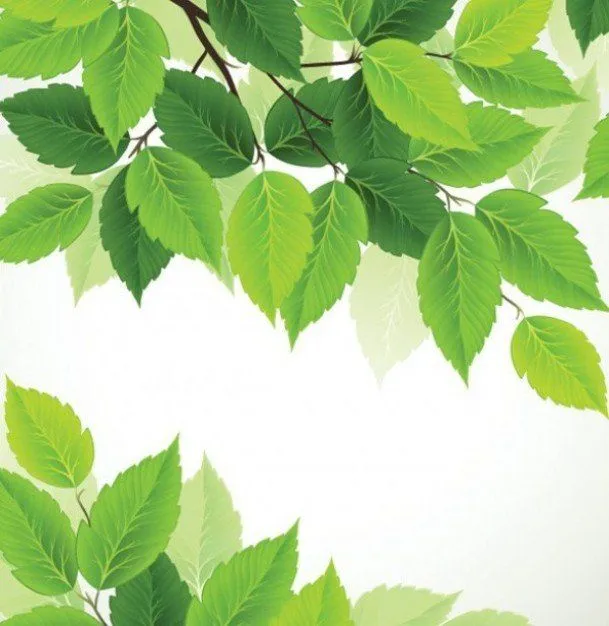 Why Do Plants And Leaves Are Of Different Shades Of Green?