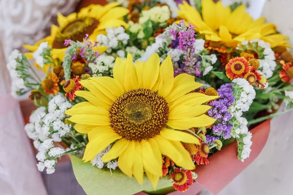 Anthocyanins: How Flowers Get Their Color