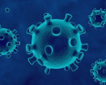 Can Viruses Be Killed?