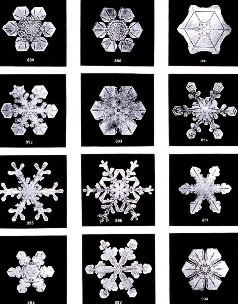 Snowflakes in different shapes