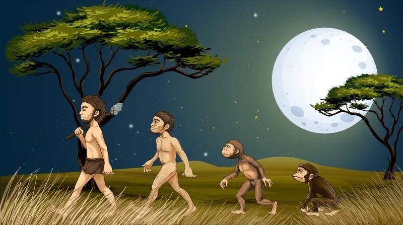 Evidence Of Evolution: Some Amazing Signs Of Evolution In Human Body