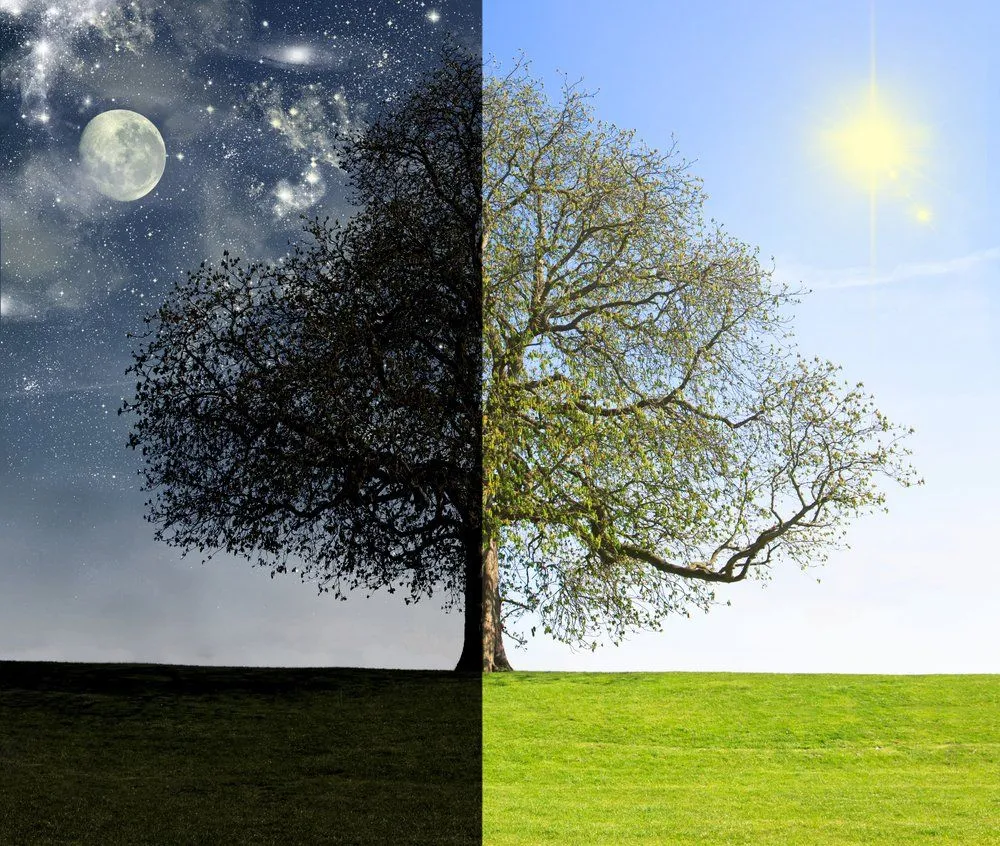 Credit: Elena Zajchikova/Shutterstock