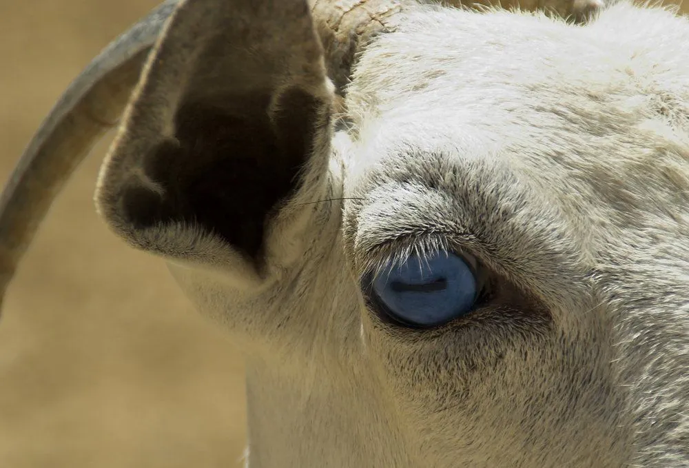 source: tarakbr/shutterstock.com