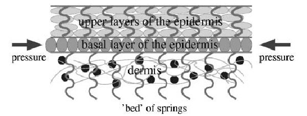 0411_fingerprint_layers_02