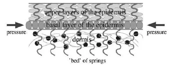 0411_fingerprint_layers_02