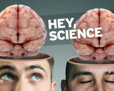 Can The Brain Or Head Be Transplanted?