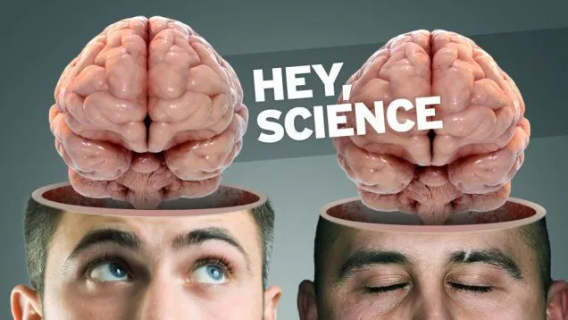 Can The Brain Or Head Be Transplanted?