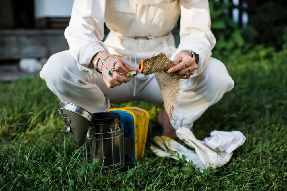 Beekeeper preparing the smoker on the grass(Rawpixel.com)S