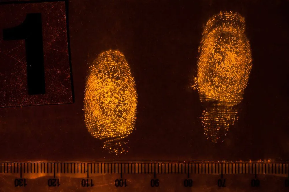 Why Do We Have Fingerprints And Why Are They Unique?