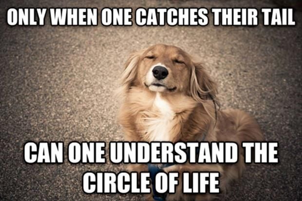 source: funnyand.com