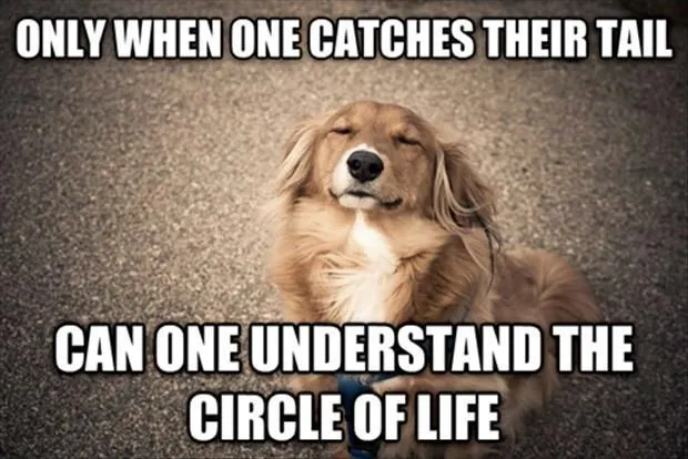 source: funnyand.com