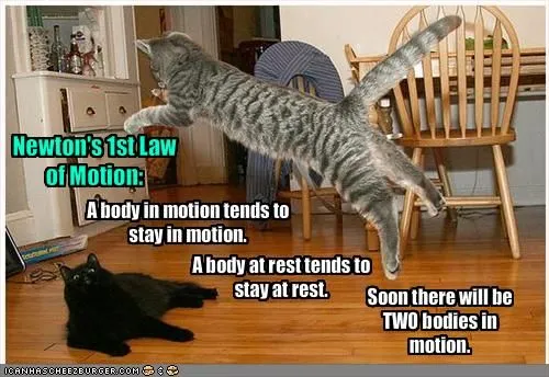 source: discoveryexpress.weebly.com