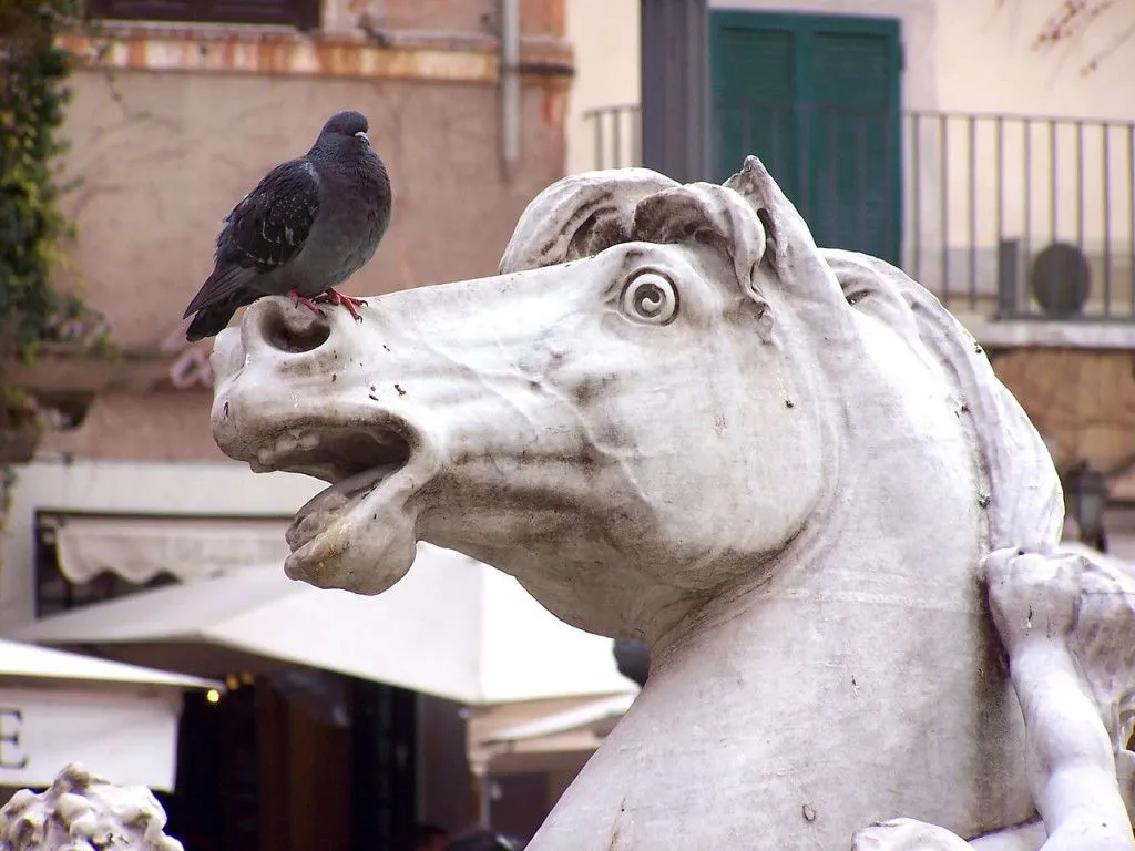 What’s the pigeon saying to the horse here? “I feel the need, the need for speed” (Credits: JonHoefer/Pixabay)