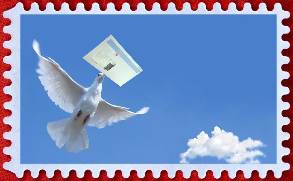 How Do Carrier Pigeons Know Where To Go?