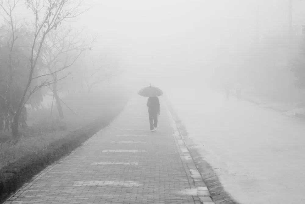 Why Doesn't Rain Wash Away Fog?