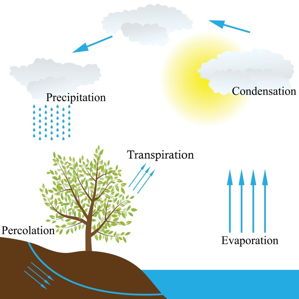 Water Cycle