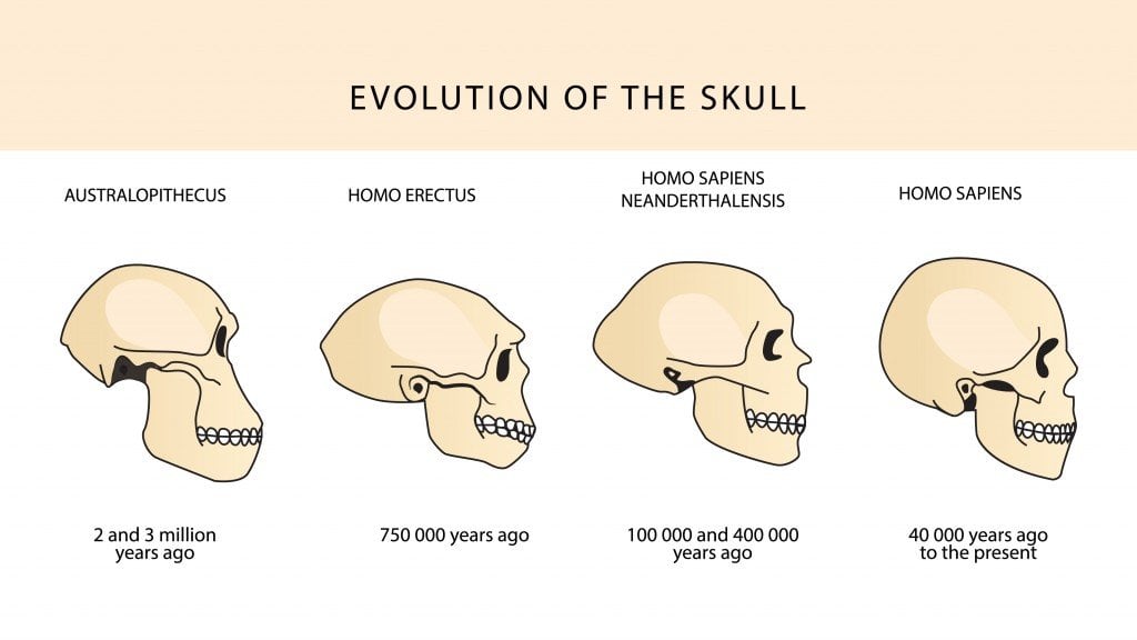 shutterstock_290986031