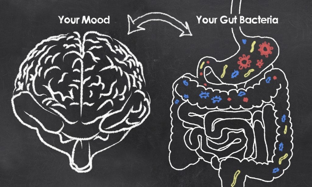 The Gut-Brain Connection (Photo Credit: T. L. Furrer / Fotolia)