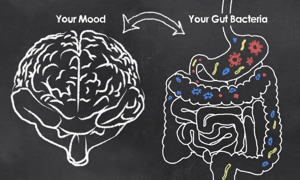 The Gut-Brain Connection (Photo Credit: T. L. Furrer / Fotolia)