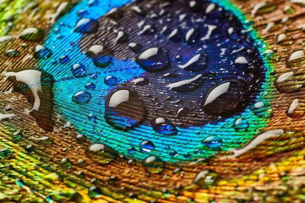 Raid Adding a Bit of Extra Shimmer? (Photo Credit: Nik_Merkulov / Fotolia)