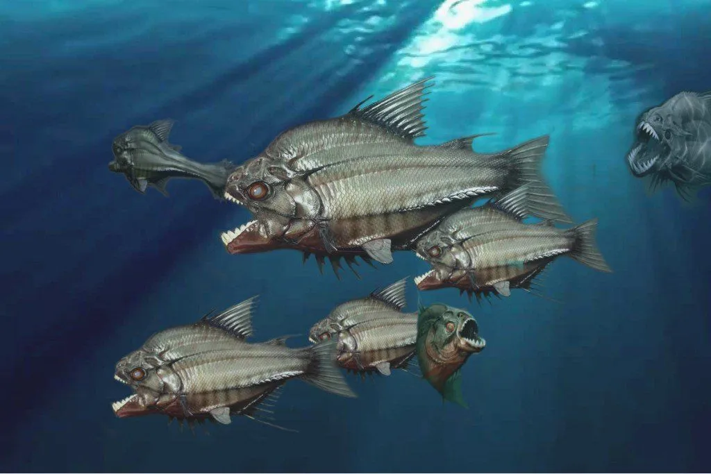 Are Piranhas Really That Dangerous?