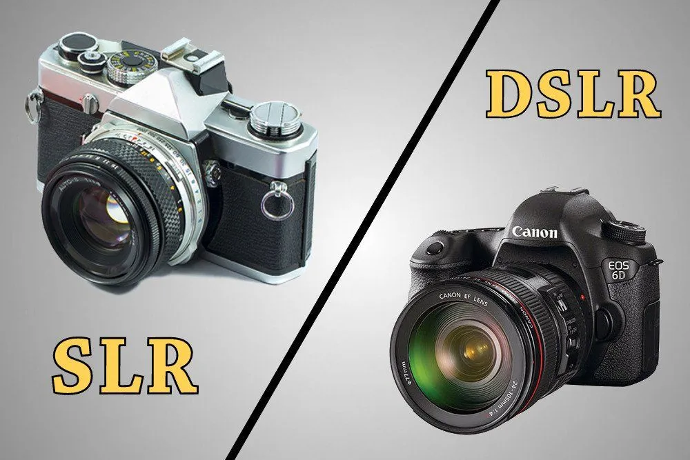 What's The Difference Between SLR And DSLR Cameras?