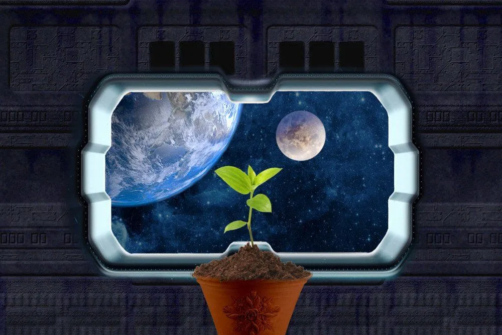 How Do Astronauts Grow Plants In Space?