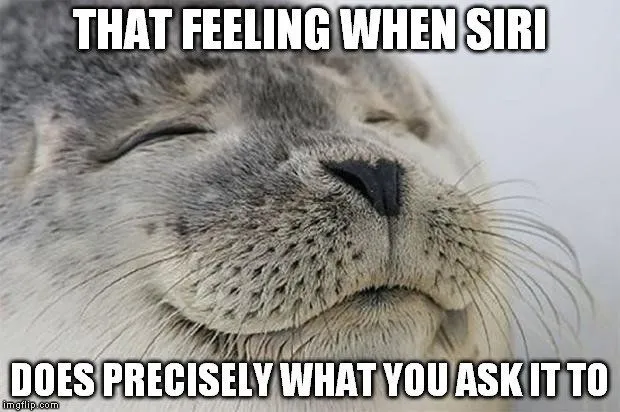 that feeling when siri does meme