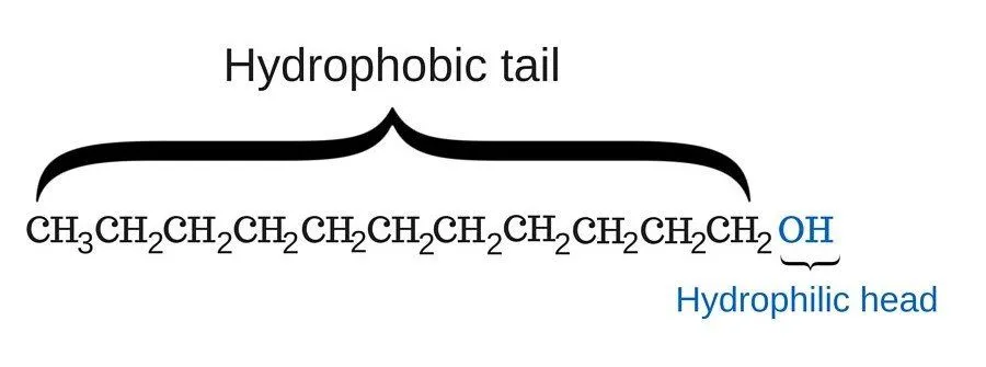 soap chemical structure hydrophilic head hydrophobic tail