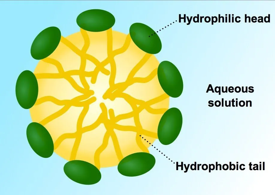 soap cleaning action in water