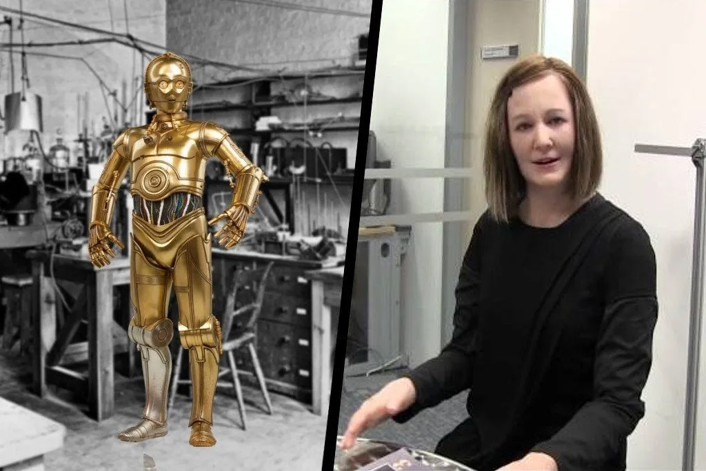 Past And The Present: The History And Evolution Of Robots