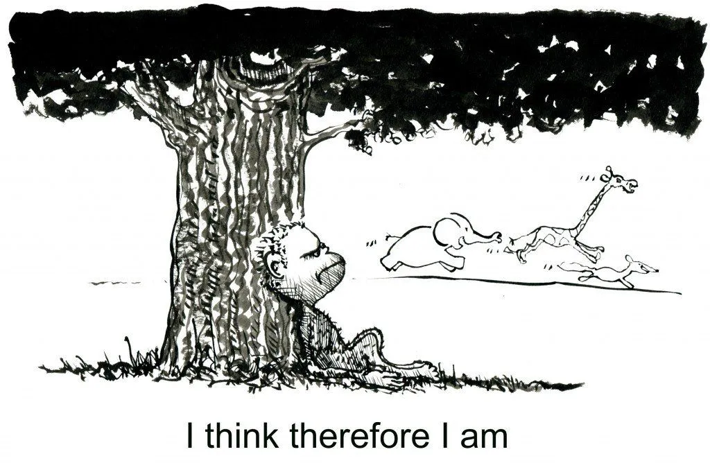 Credit: Frits Ahlefeldt/ Hiking Artist