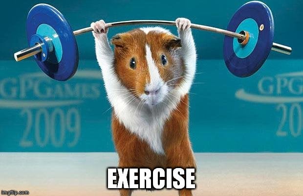 exercise meme