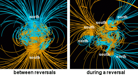 geomagnetic reversal process