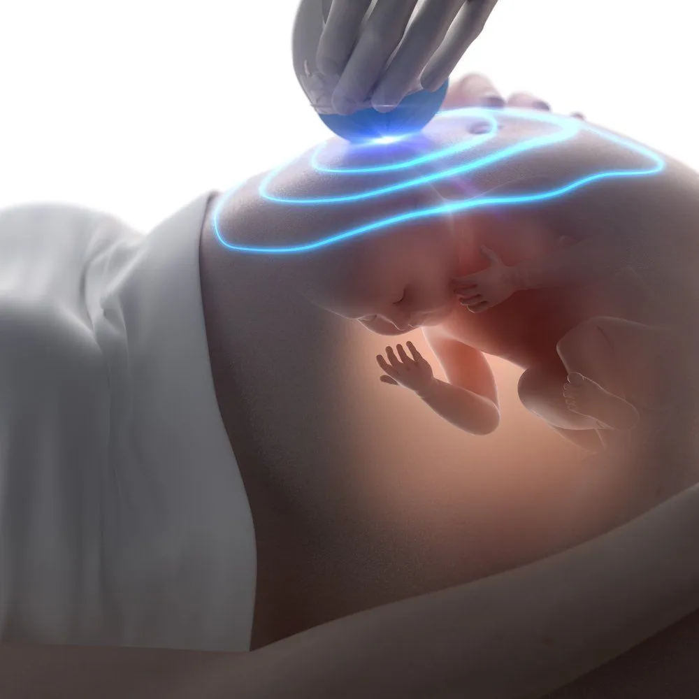 3D ultrasound during pregnancy concept