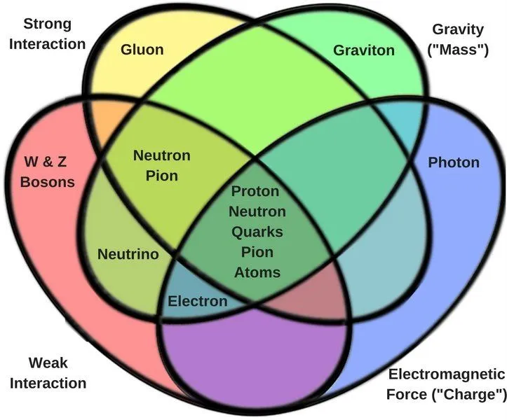 Particles by fundamental interactions