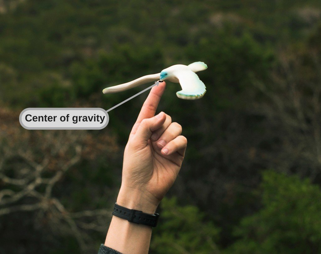 Center of gravity
